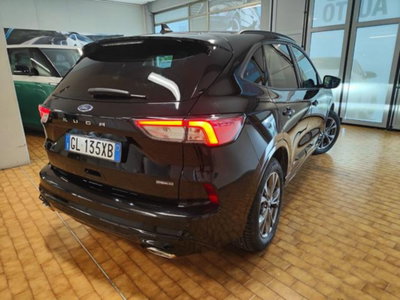 Ford Kuga 2.5 full hybrid ST-Line X 4wd 183cv auto (2)