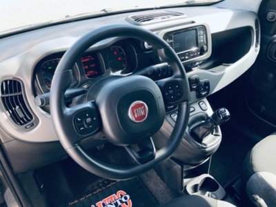 Fiat Panda 1.0 firefly hybrid s&s 70cv 5p.ti (10)