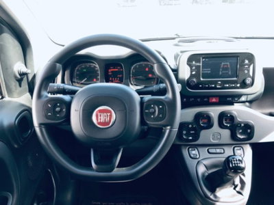 Fiat Panda 1.0 firefly hybrid s&s 70cv 5p.ti (6)