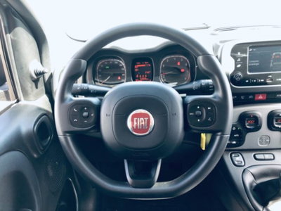 Fiat Panda 1.0 firefly hybrid s&s 70cv 5p.ti (7)