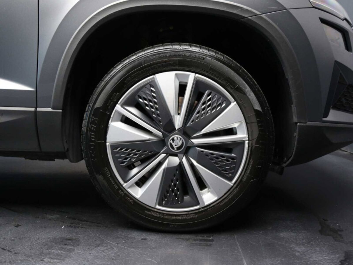 Skoda Karoq 2.0 TDI EVO SCR 115 CV DSG Executive (11)