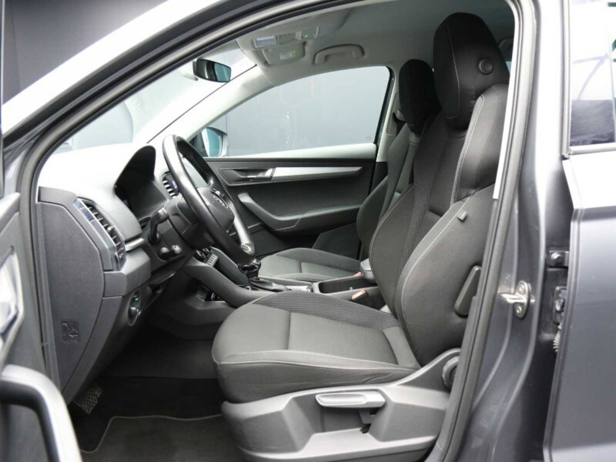 Skoda Karoq 2.0 TDI EVO SCR 115 CV DSG Executive (14)