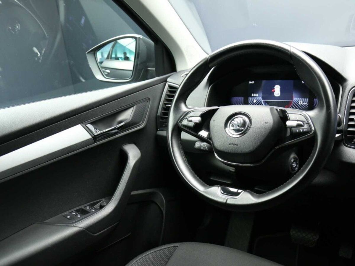 Skoda Karoq 2.0 TDI EVO SCR 115 CV DSG Executive (15)