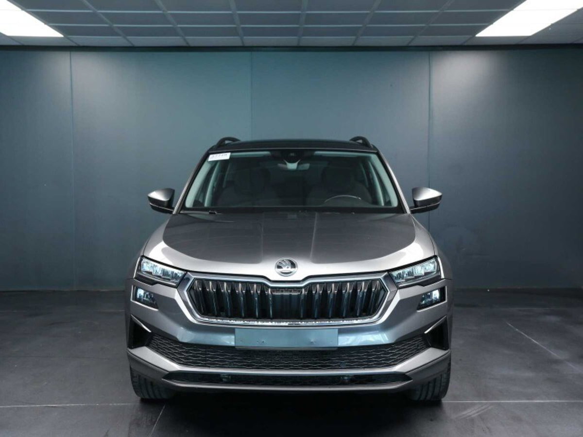 Skoda Karoq 2.0 TDI EVO SCR 115 CV DSG Executive (2)