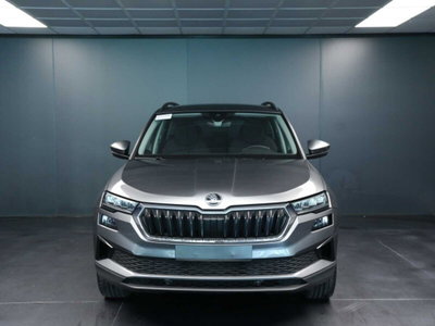Skoda Karoq 2.0 TDI EVO SCR 115 CV DSG Executive (2)