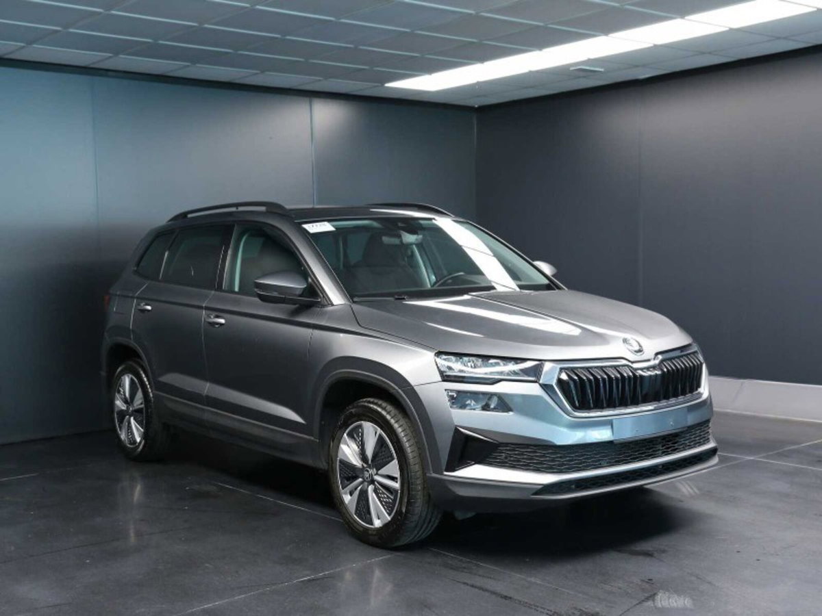 Skoda Karoq 2.0 TDI EVO SCR 115 CV DSG Executive (3)