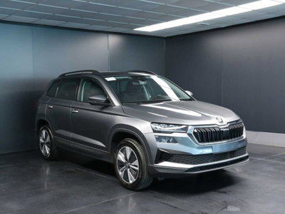Skoda Karoq 2.0 TDI EVO SCR 115 CV DSG Executive (3)