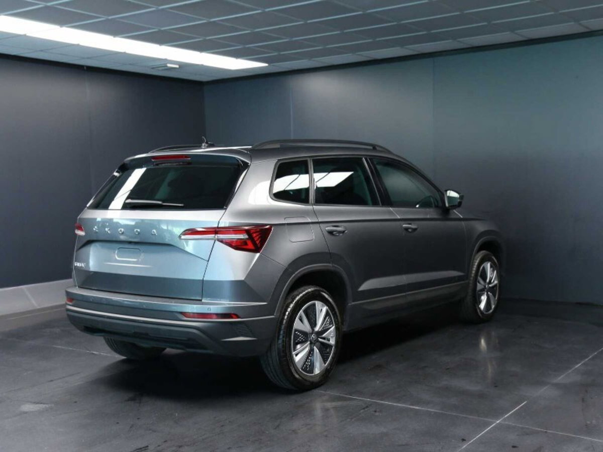 Skoda Karoq 2.0 TDI EVO SCR 115 CV DSG Executive (4)