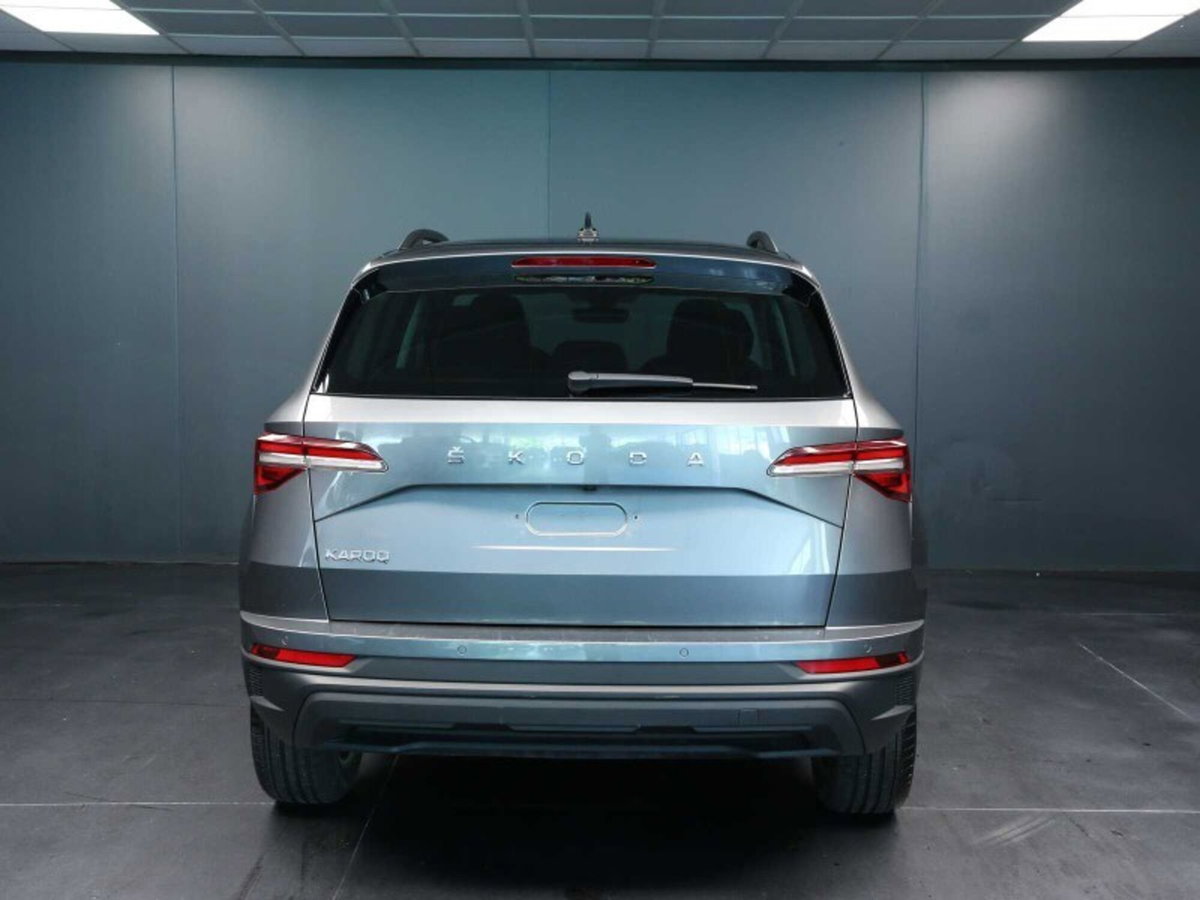Skoda Karoq 2.0 TDI EVO SCR 115 CV DSG Executive (5)