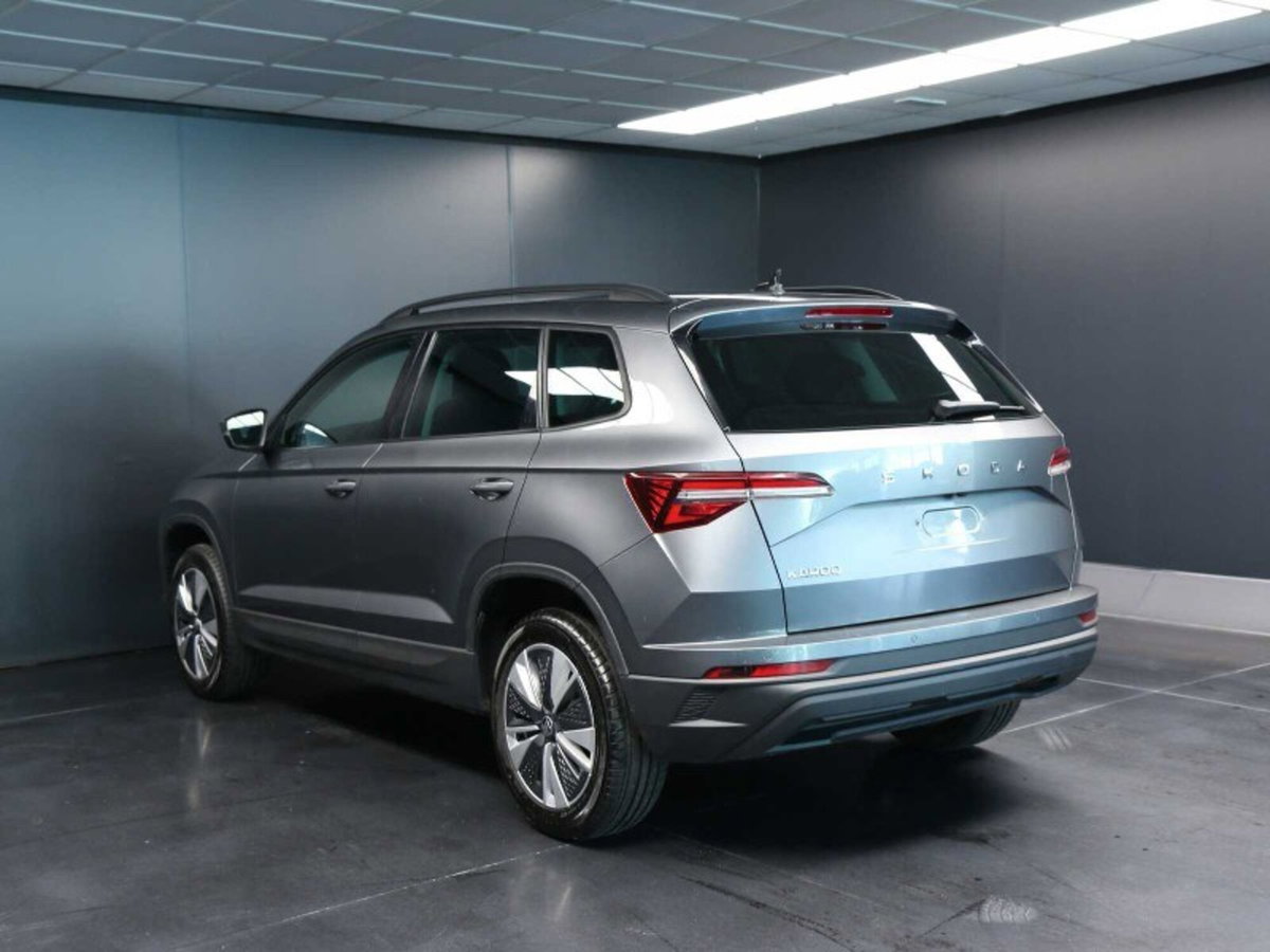 Skoda Karoq 2.0 TDI EVO SCR 115 CV DSG Executive (6)