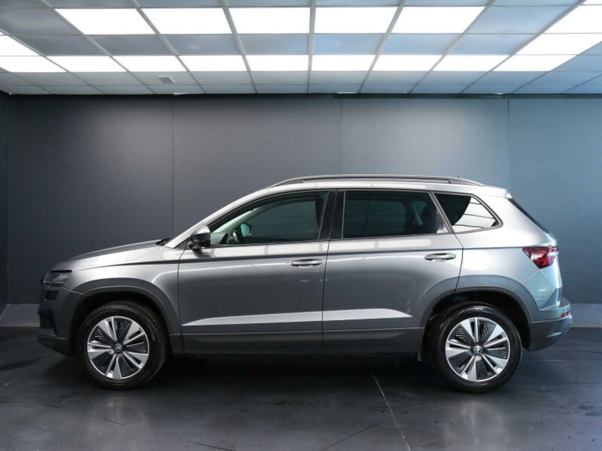 Skoda Karoq 2.0 TDI EVO SCR 115 CV DSG Executive (7)