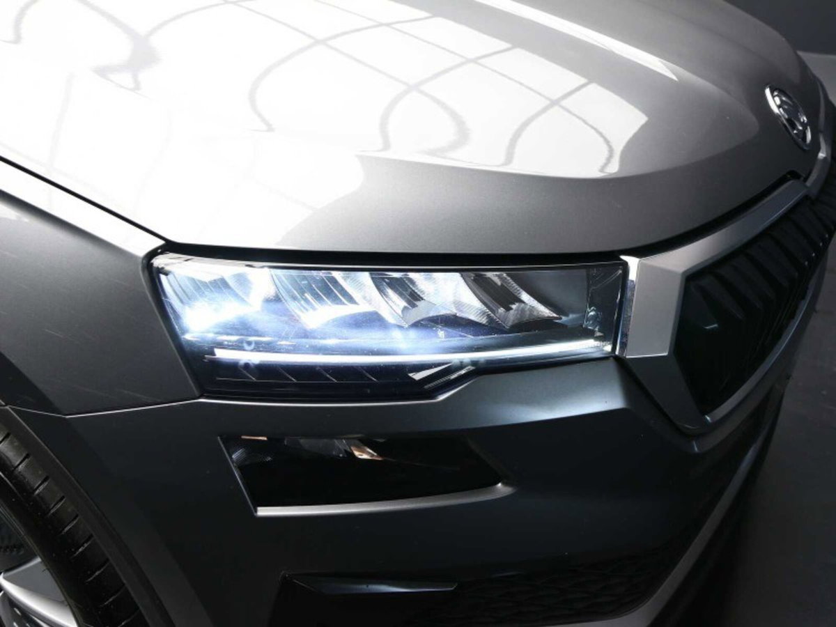 Skoda Karoq 2.0 TDI EVO SCR 115 CV DSG Executive (9)