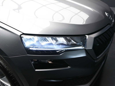 Skoda Karoq 2.0 TDI EVO SCR 115 CV DSG Executive (9)