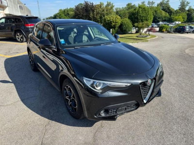 Alfa Romeo Stelvio Stelvio 2.2 Turbodiesel 180 CV AT8 RWD Super (8)