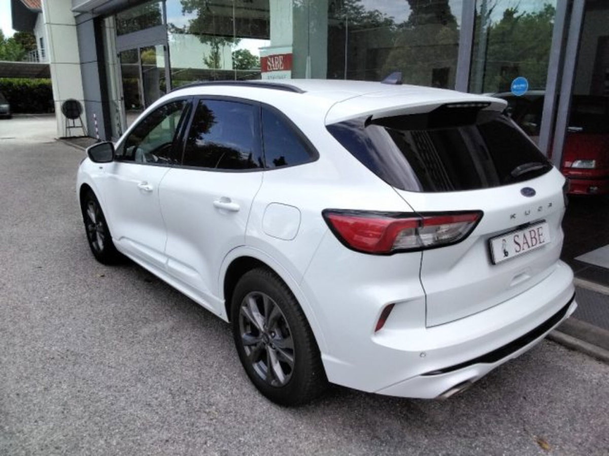 Ford Kuga 1.5 EcoBlue 120 CV 2WD ST-Line (12)