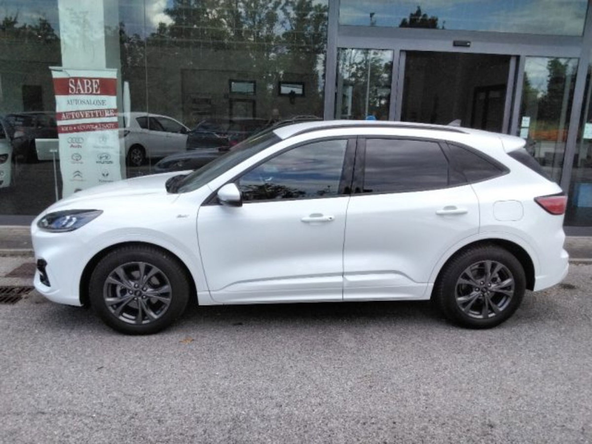 Ford Kuga 1.5 EcoBlue 120 CV 2WD ST-Line (13)