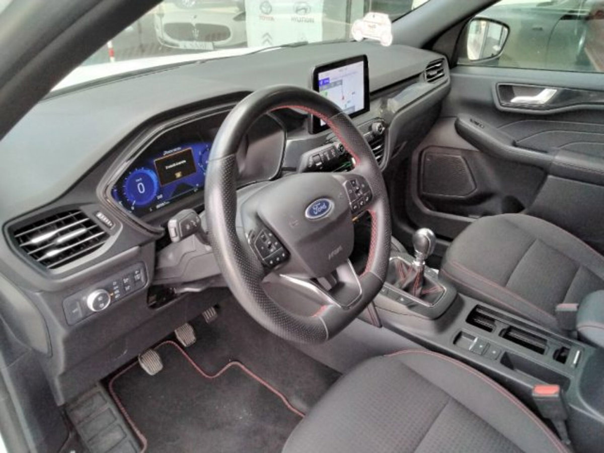 Ford Kuga 1.5 EcoBlue 120 CV 2WD ST-Line (17)