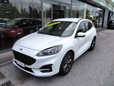 Ford Kuga 1.5 EcoBlue 120 CV 2WD ST-Line (2)