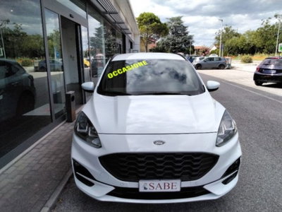 Ford Kuga 1.5 EcoBlue 120 CV 2WD ST-Line (4)