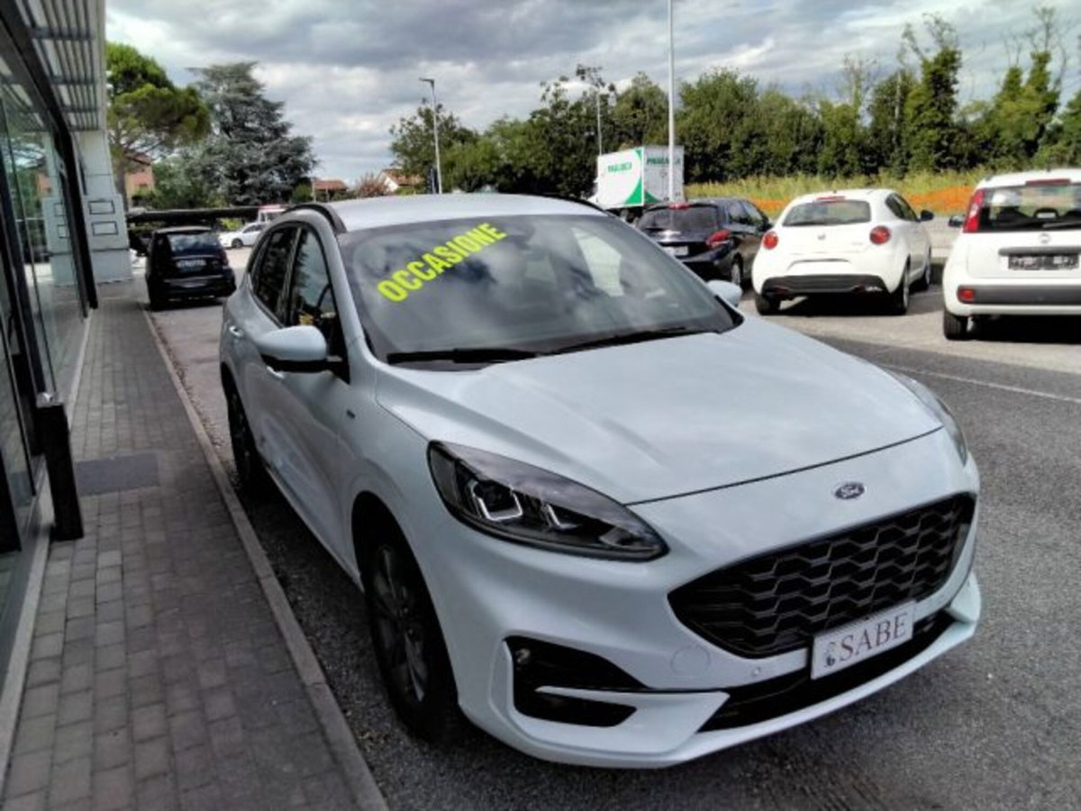 Ford Kuga 1.5 EcoBlue 120 CV 2WD ST-Line (6)