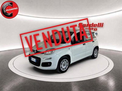 Fiat Panda 1.2 EasyPower Easy usata