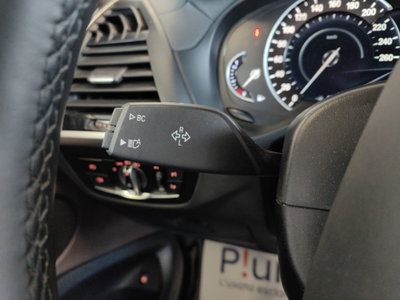 BMW X3 xDrive20i Luxury (19)