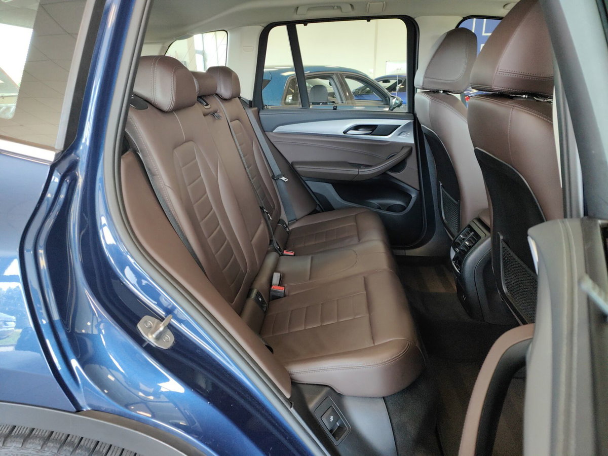 BMW X3 xDrive20i Luxury (6)