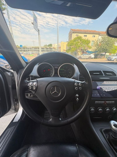 Mercedes-Benz SLK 200 Kompressor cat (11)
