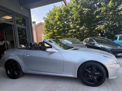 Mercedes-Benz SLK 200 Kompressor cat (3)