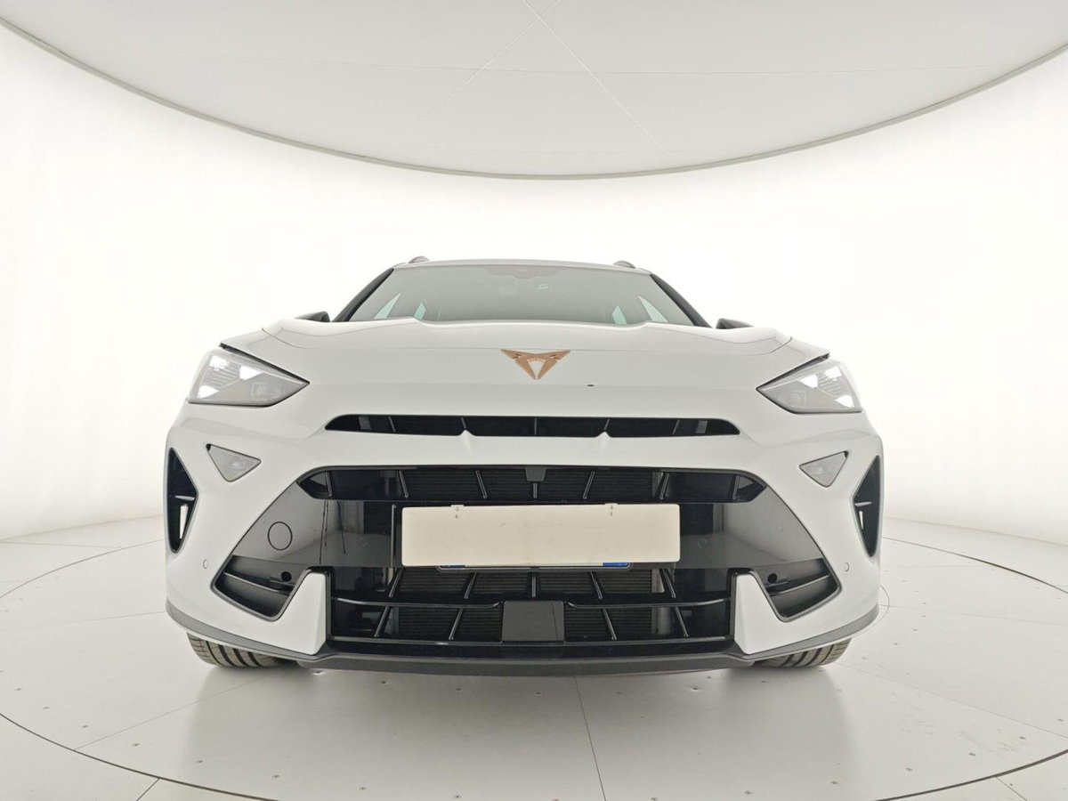 Cupra Formentor Formentor 2.0 TDI (5)