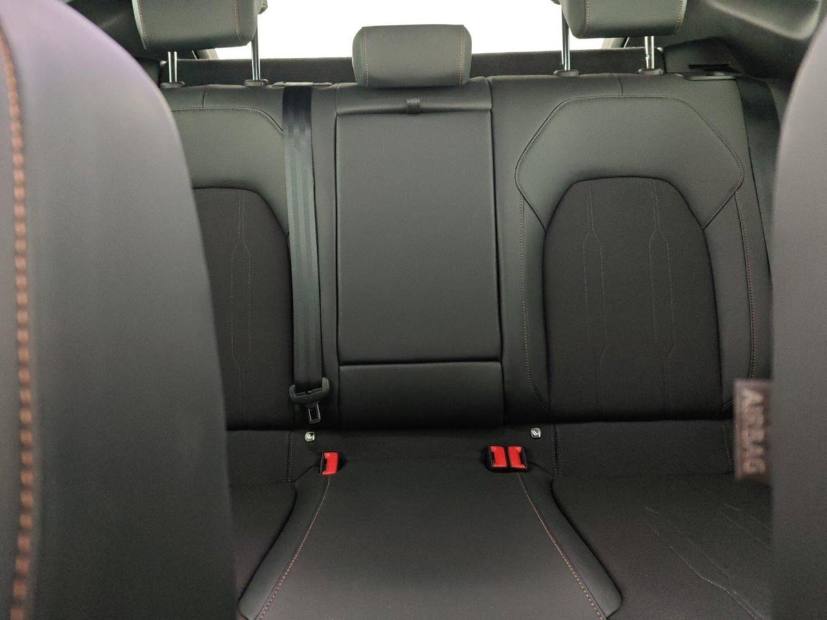 Cupra Formentor Formentor 2.0 TDI (16)