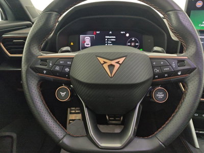 Cupra Formentor Formentor 2.0 TDI (18)