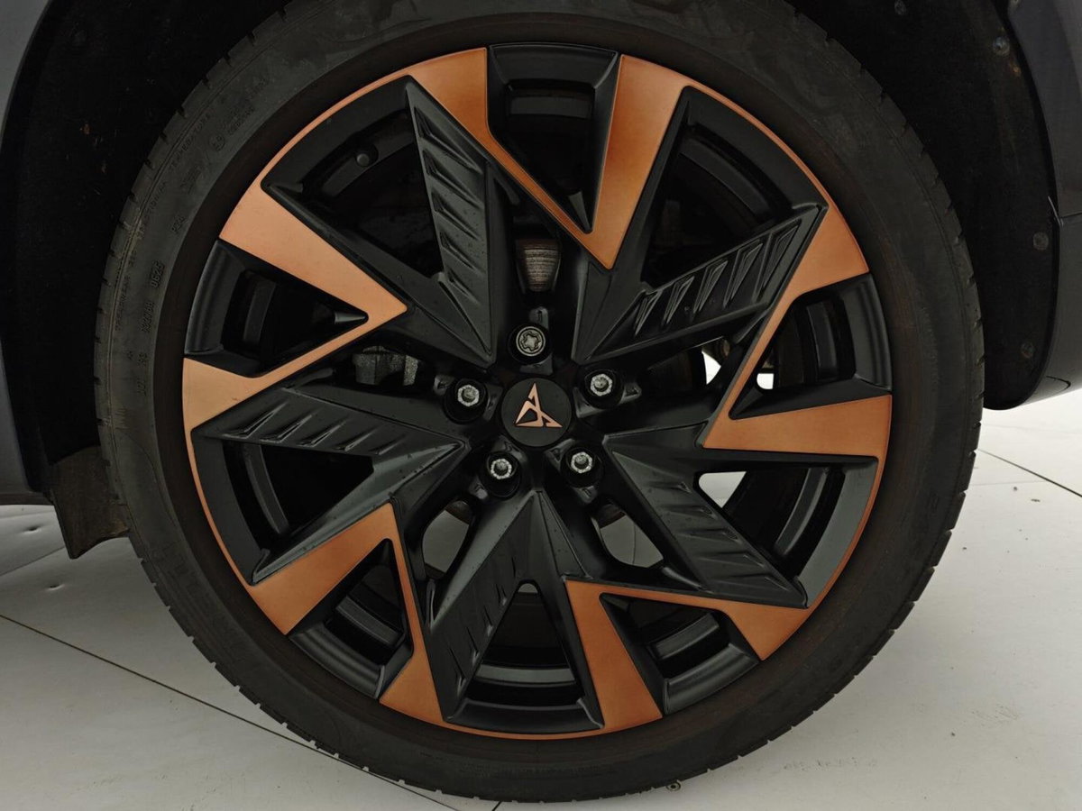 Cupra Formentor Formentor 2.0 TDI (8)