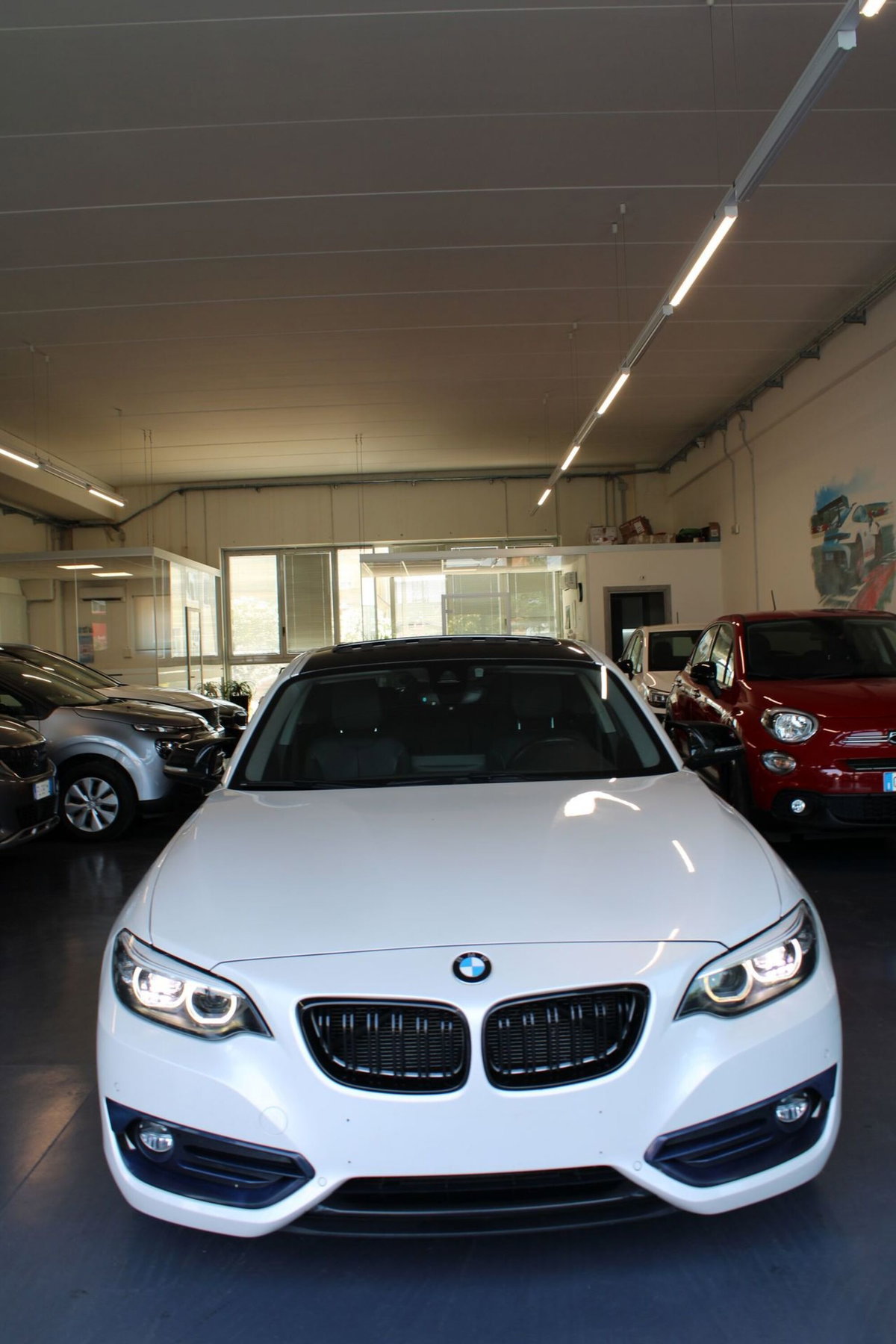 BMW Serie 2 Coupé 218i  Sport (2)