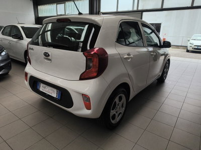 Kia Picanto 1.0 12V 5 porte Active (6)
