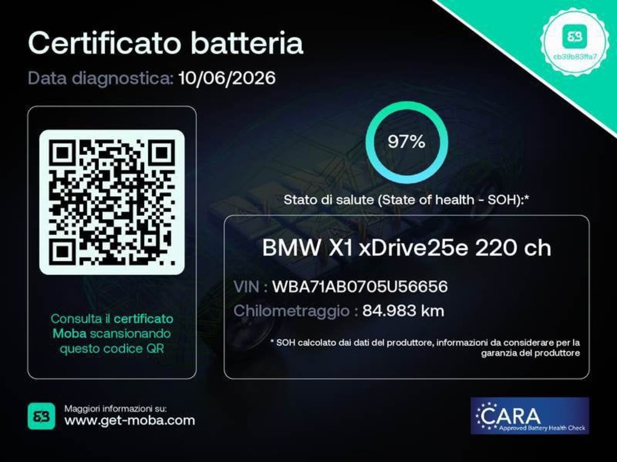 BMW X1 xDrive25e Advantage (4)