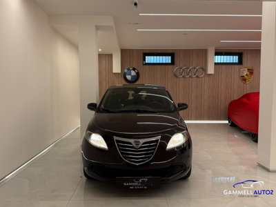 Lancia Ypsilon 1.2 69 CV 5 porte Silver usata