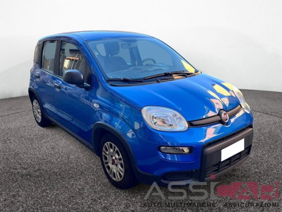 Fiat Panda 1.0 FireFly S&S Hybrid Easy usata