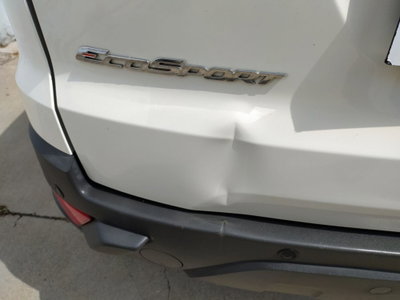 Ford EcoSport 1.5 TDCi 95 CV Plus (19)