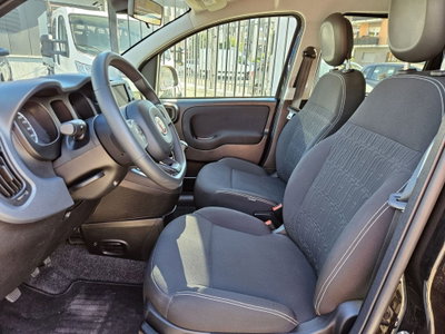 Fiat Panda 1.0 FireFly S&S Hybrid City Cross (8)