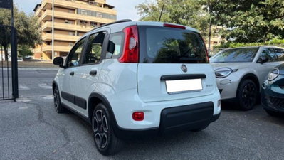 Fiat Panda 1.0 firefly hybrid s&s 70cv 5p.ti (4)
