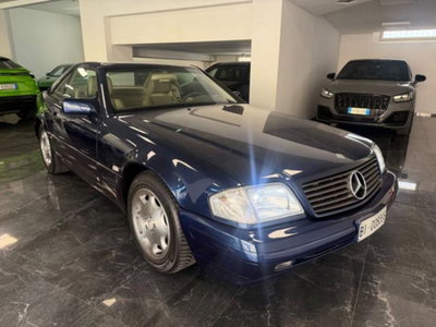 Mercedes-Benz SL 500 cat (10)