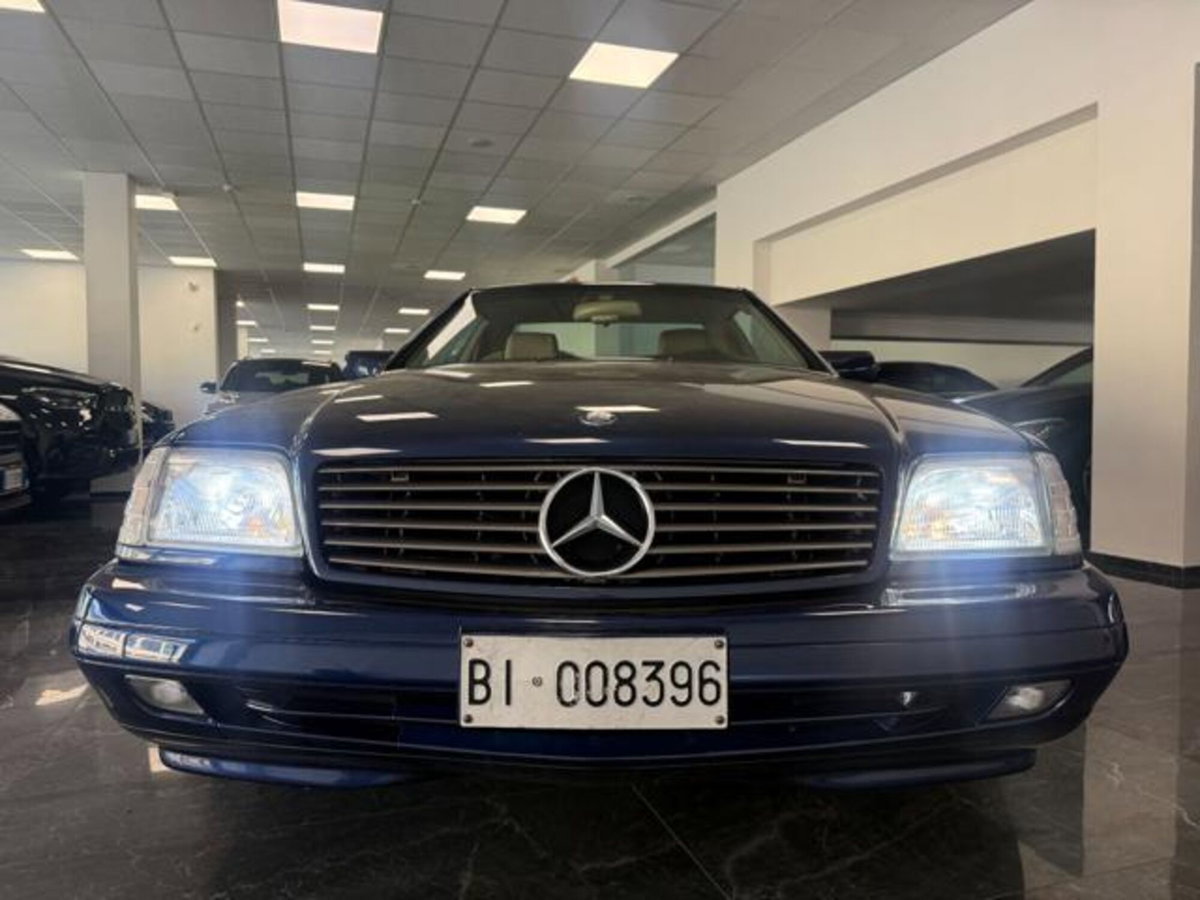 Mercedes-Benz SL 500 cat (11)