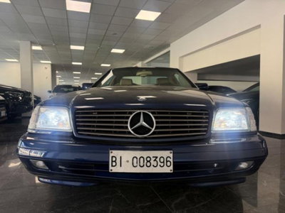 Mercedes-Benz SL 500 cat (11)