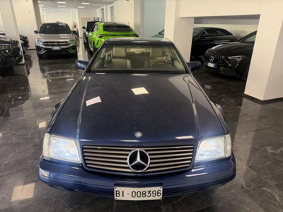 Mercedes-Benz SL 500 cat (12)