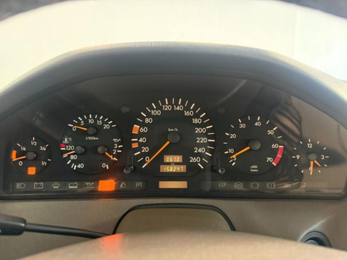 Mercedes-Benz SL 500 cat (13)