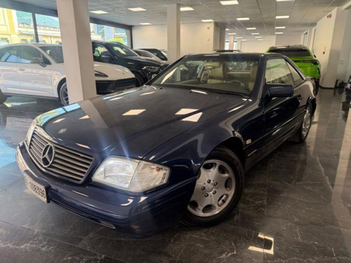 Mercedes-Benz SL 500 cat (2)