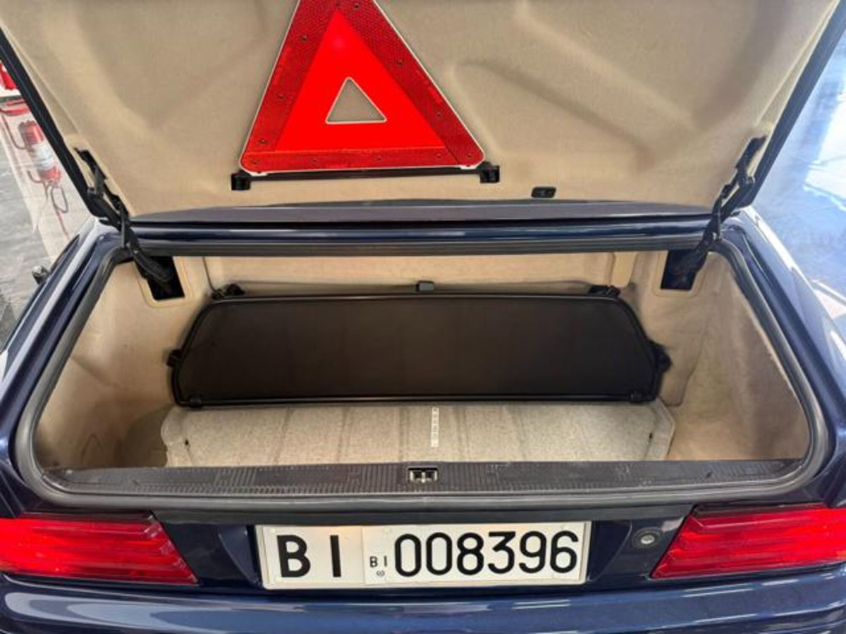 Mercedes-Benz SL 500 cat (20)