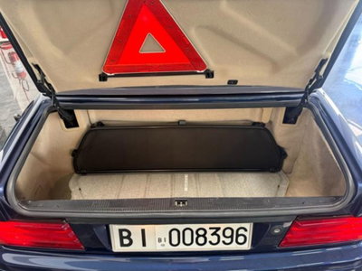 Mercedes-Benz SL 500 cat (20)