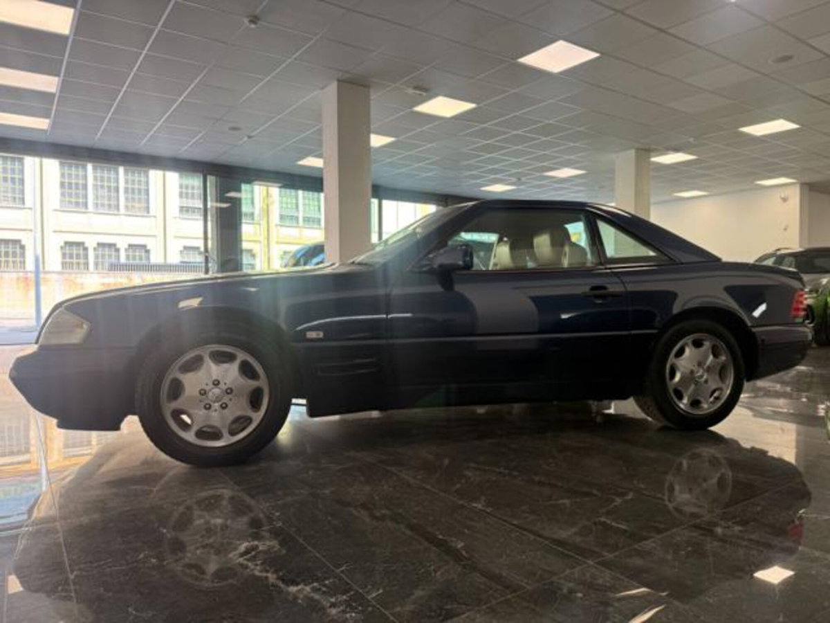 Mercedes-Benz SL 500 cat (4)